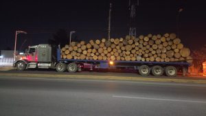 Detiene FGE a un hombre por transporte ilegal de madera en Morelia