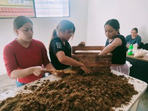 Con producción de hongo seta, Saderm impulsa el desarrollo de las mujeres morelianas