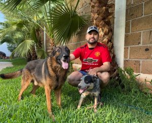 ”Necesario promover el bienestar animal y su tenencia responsable”: Octavio Ocampo
